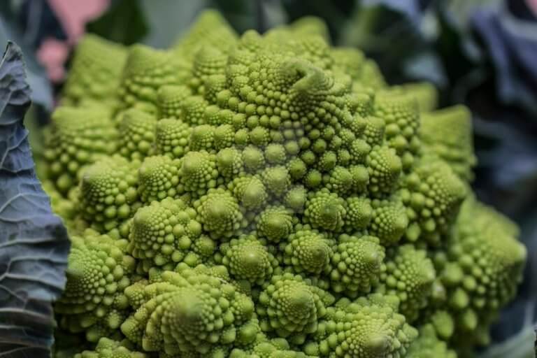 romanesco_broccoli___fractal_vegetable_by_photographybypixie_d5w6mrt-fullview